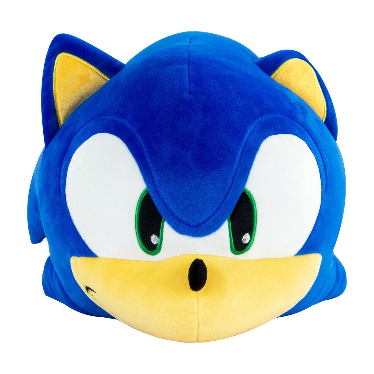 Sonic the Hedgehog 15